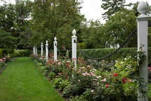 The Crowe Garden